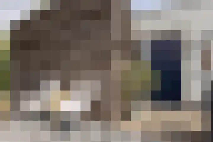 Mendeldreef 196 Lisse thumbnail 30