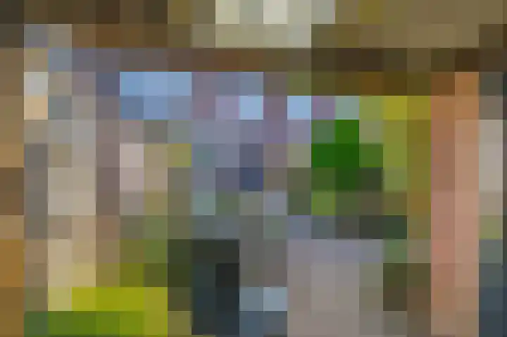 Mendeldreef 196 Lisse thumbnail 30