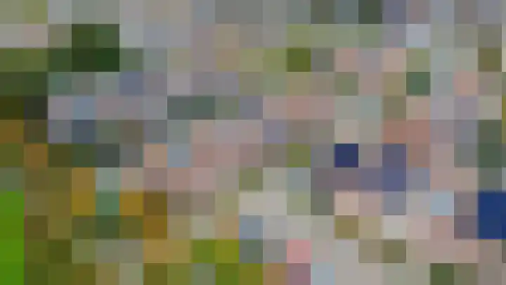 Mendeldreef 196 Lisse thumbnail 34