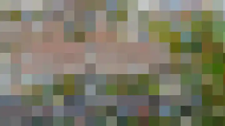 Mendeldreef 196 Lisse thumbnail 39