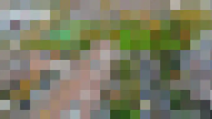 Mendeldreef 196 Lisse thumbnail 40