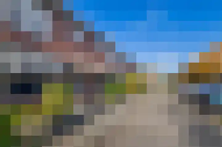 Mendeldreef 196 Lisse thumbnail 41