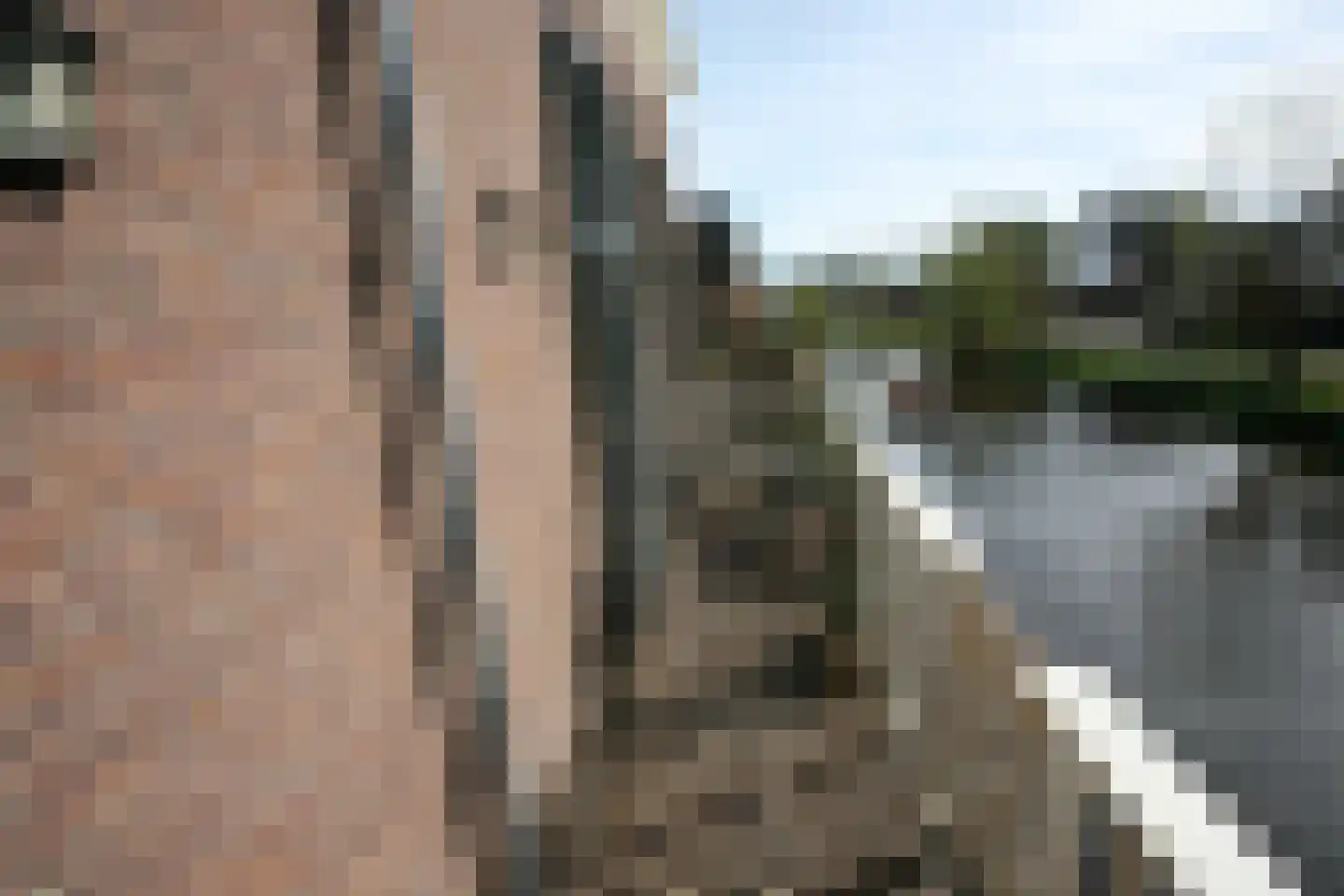 Mendeldreef 196 Lisse thumbnail 5
