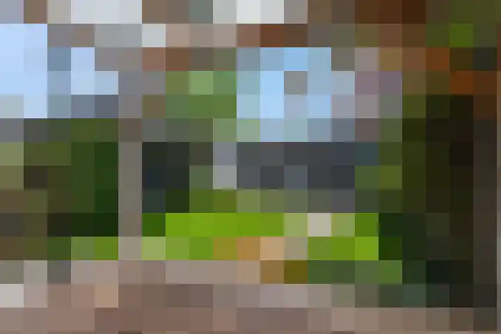 Mendeldreef 196 Lisse thumbnail 50