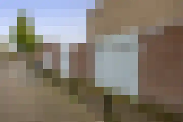 Mendeldreef 24 Lisse thumbnail 26