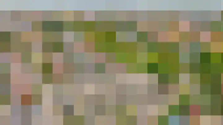 Mendeldreef 24 Lisse thumbnail 41