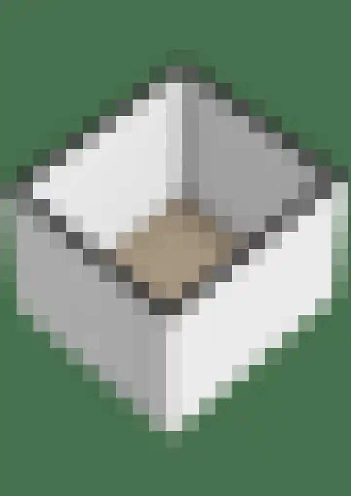 Mendeldreef 24 Lisse thumbnail 45