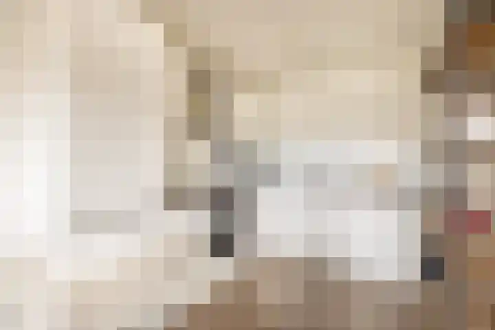 Mendeldreef 24 Lisse thumbnail 8