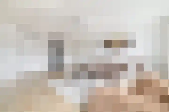 Mendeldreef 62 Lisse thumbnail 10