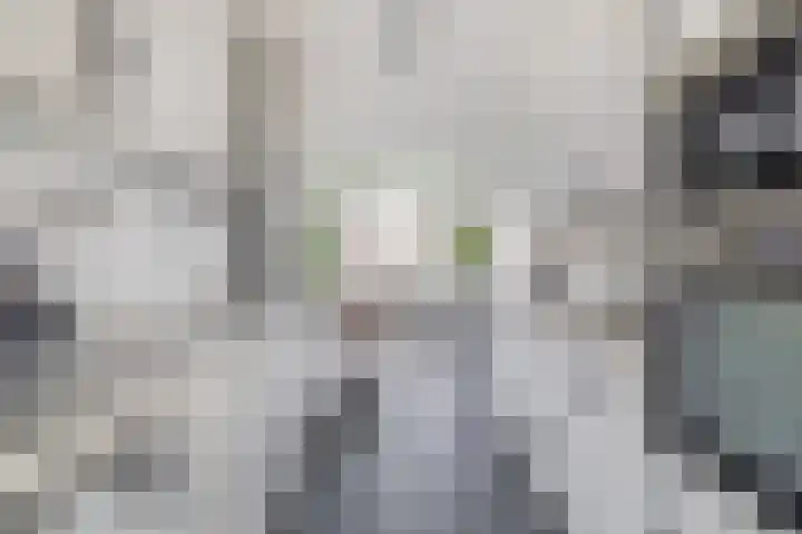 Mendeldreef 62 Lisse thumbnail 13