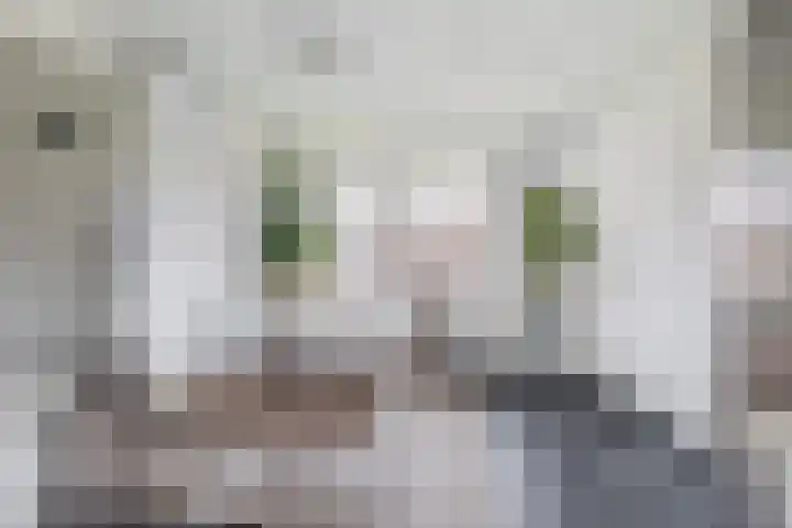 Mendeldreef 62 Lisse thumbnail 14