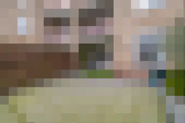 Mendeldreef 62 Lisse thumbnail 19