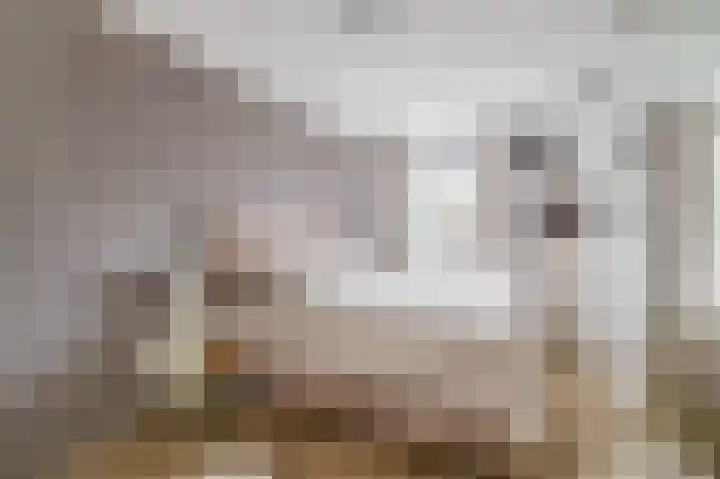 Mendeldreef 62 Lisse thumbnail 20