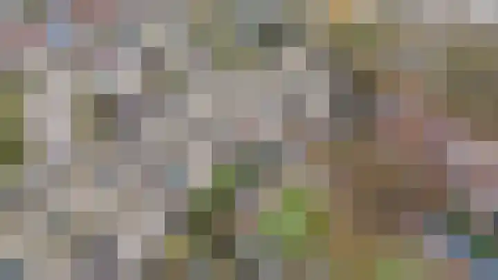 Mendeldreef 62 Lisse thumbnail 32