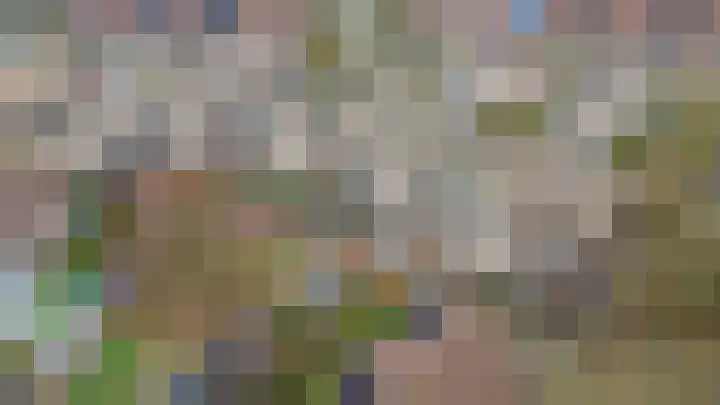Mendeldreef 62 Lisse thumbnail 33