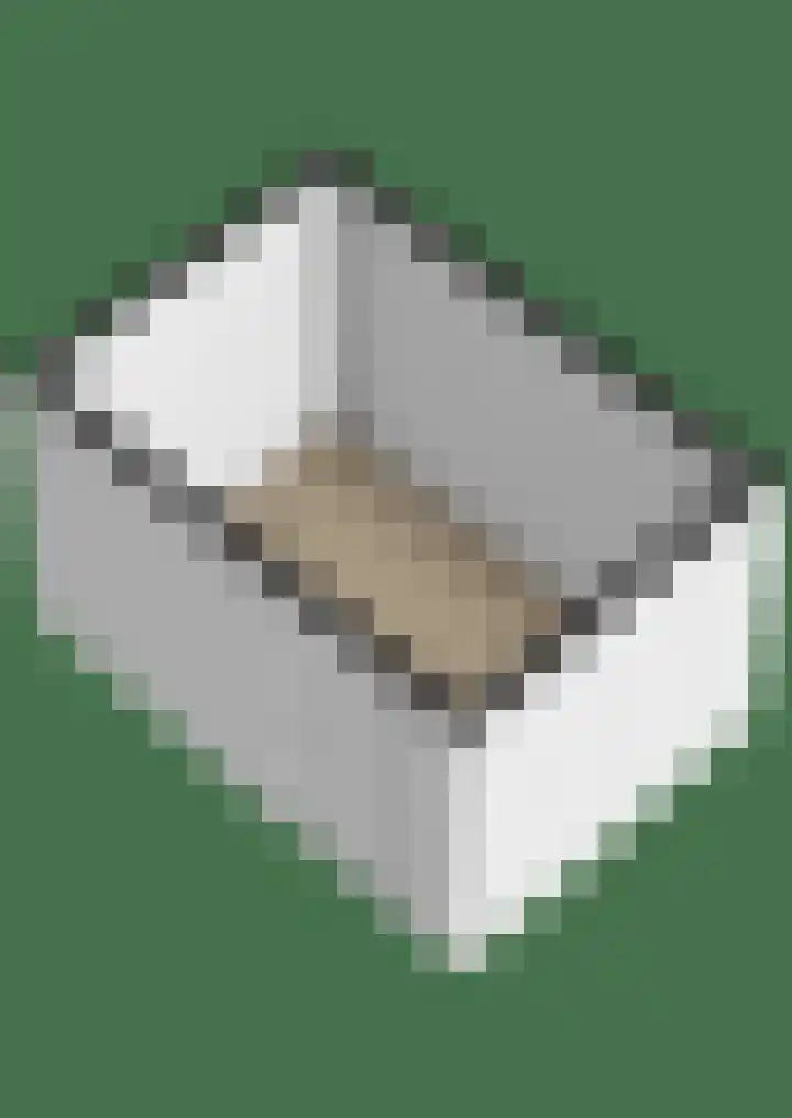 Mendeldreef 62 Lisse thumbnail 39