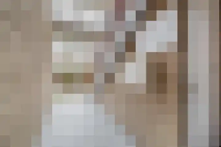Mendeldreef 62 Lisse thumbnail 4