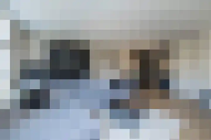 Mendeldreef 68 Lisse thumbnail 10