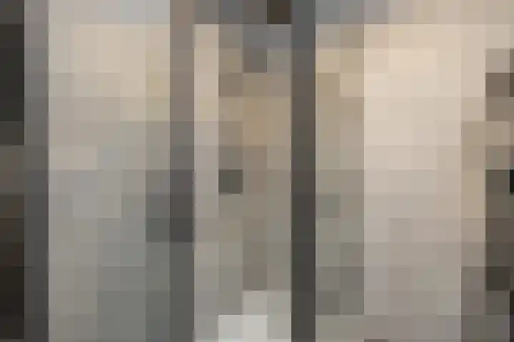 Mendeldreef 68 Lisse thumbnail 18