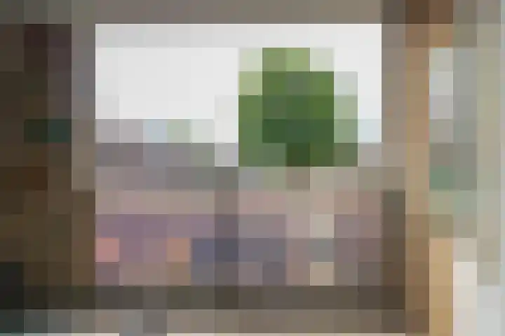 Mendeldreef 68 Lisse thumbnail 23