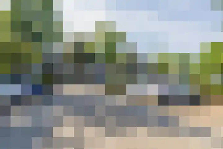 Mendeldreef 68 Lisse thumbnail 26