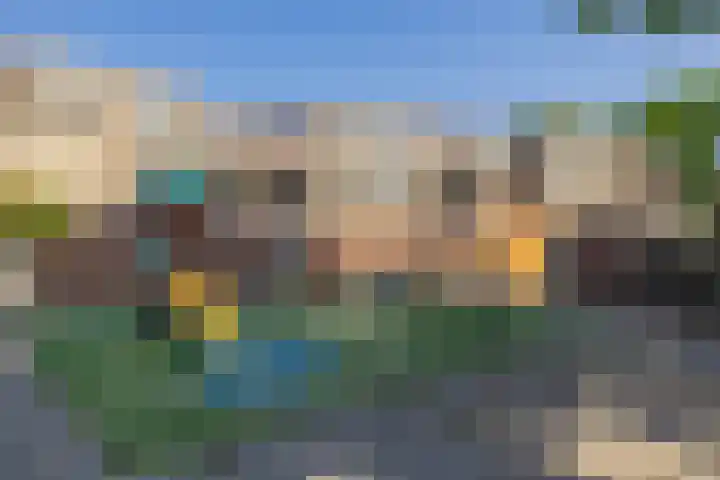 Mendeldreef 68 Lisse thumbnail 27