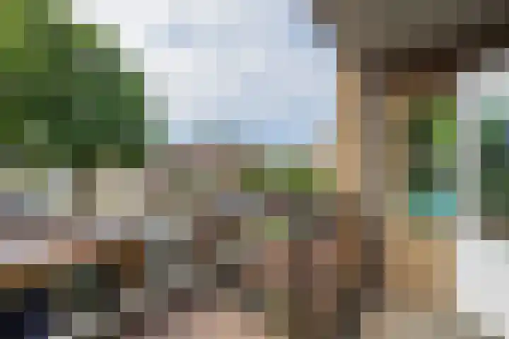 Mendeldreef 68 Lisse thumbnail 4