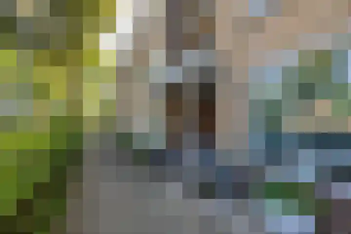 Mendeldreef 68 Lisse thumbnail 5