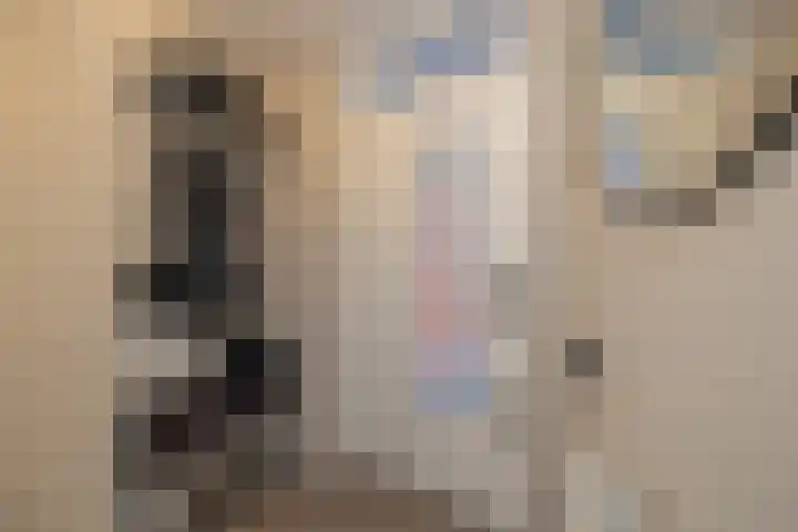 Mendeldreef 68 Lisse thumbnail 6