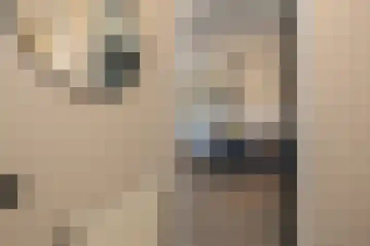 Mendeldreef 68 Lisse thumbnail 7