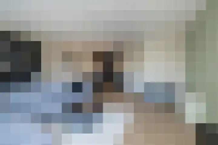 Mendeldreef 68 Lisse thumbnail 9