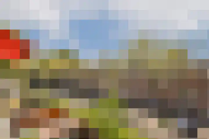 Mendelhof 1 H Amsterdam thumbnail 12