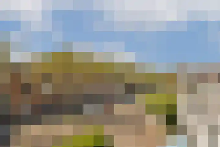 Mendelhof 1 H Amsterdam thumbnail 13