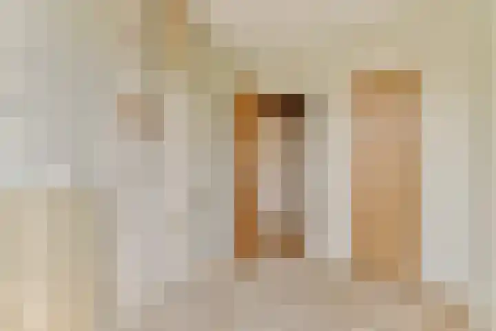 Mendelhof 1 H Amsterdam thumbnail 15