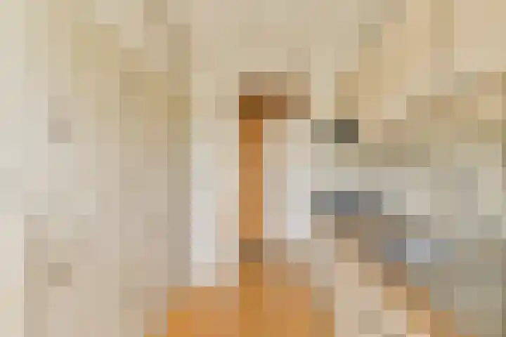 Mendelhof 1 H Amsterdam thumbnail 9