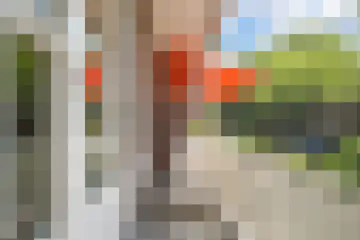 Mendelhof 3 H Amsterdam thumbnail 13