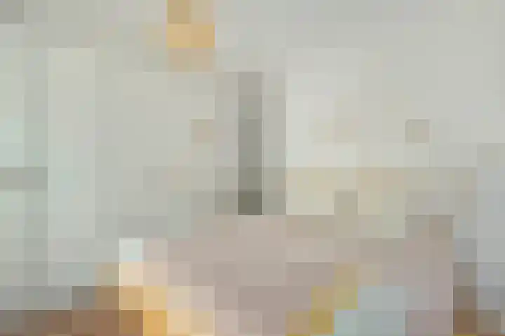 Mendelhof 3 H Amsterdam thumbnail 14