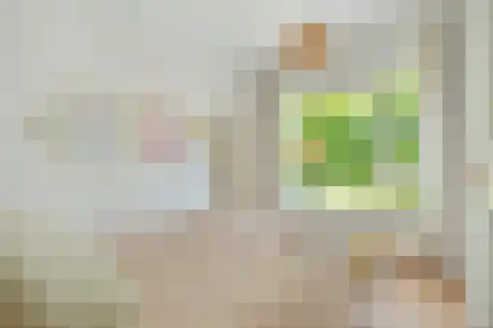 Mendelhof 3 H Amsterdam thumbnail 15