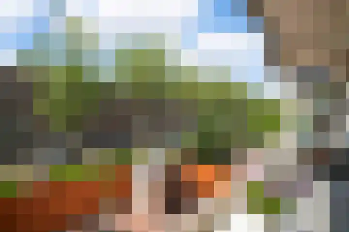 Mendelhof 3 H Amsterdam thumbnail 18