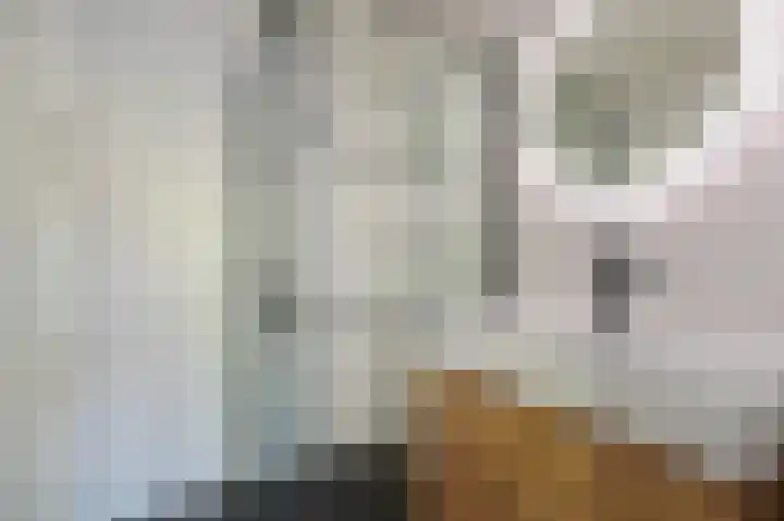 Mendelhof 3 H Amsterdam thumbnail 23