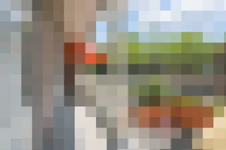 Mendelhof 3 H Amsterdam thumbnail 26