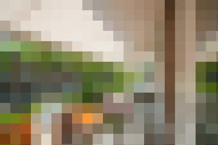 Mendelhof 3 H Amsterdam thumbnail 27