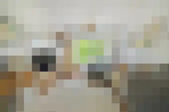 Mendelhof 3 H Amsterdam thumbnail 6