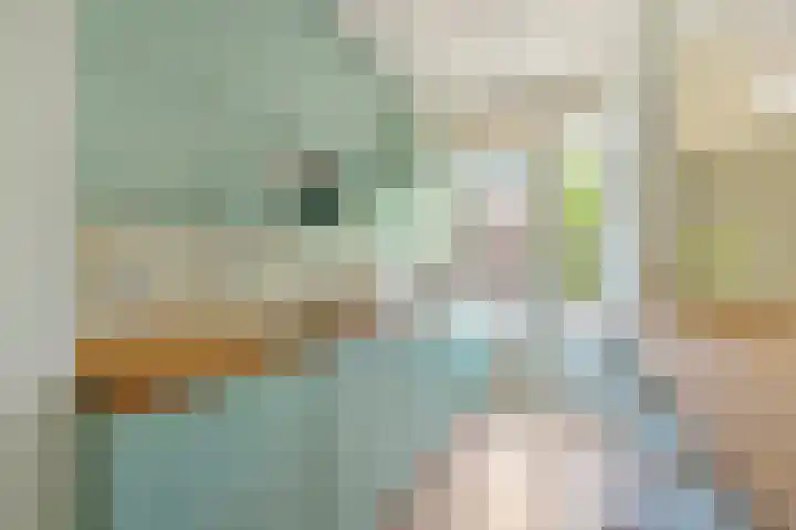 Mendelhof 3 H Amsterdam thumbnail 9