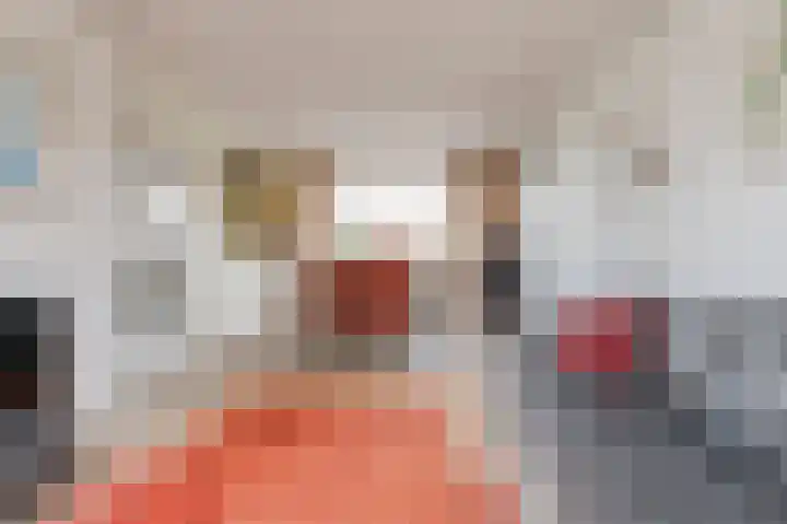 Mendelssohnlaan 1 Culemborg thumbnail 11