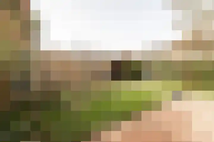 Mendelssohnlaan 1 Culemborg thumbnail 14