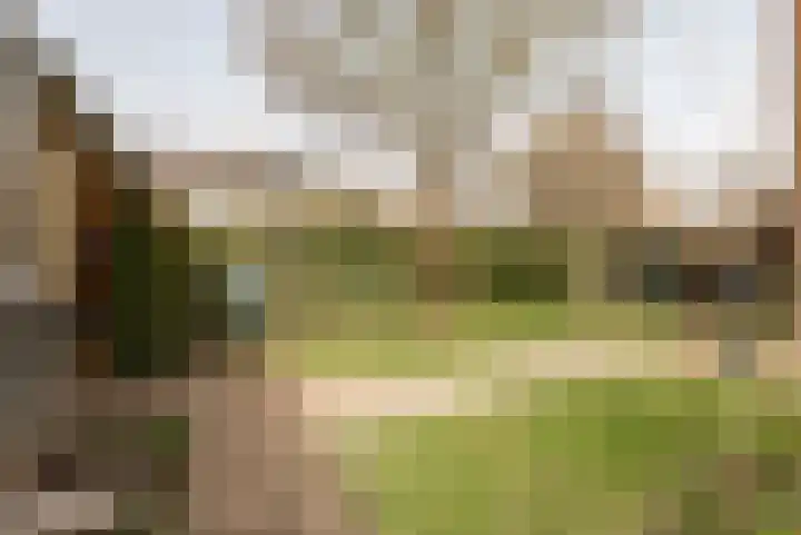 Mendelssohnlaan 1 Culemborg thumbnail 15