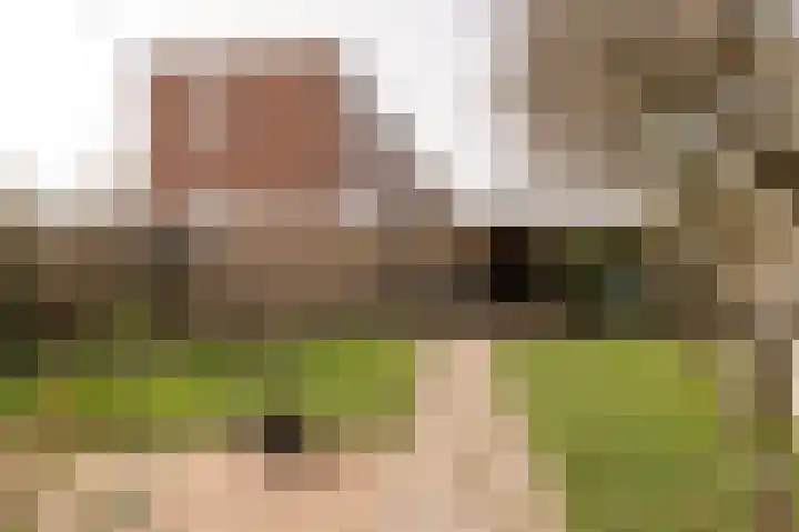 Mendelssohnlaan 1 Culemborg thumbnail 16