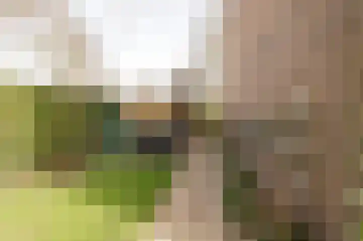 Mendelssohnlaan 1 Culemborg thumbnail 17