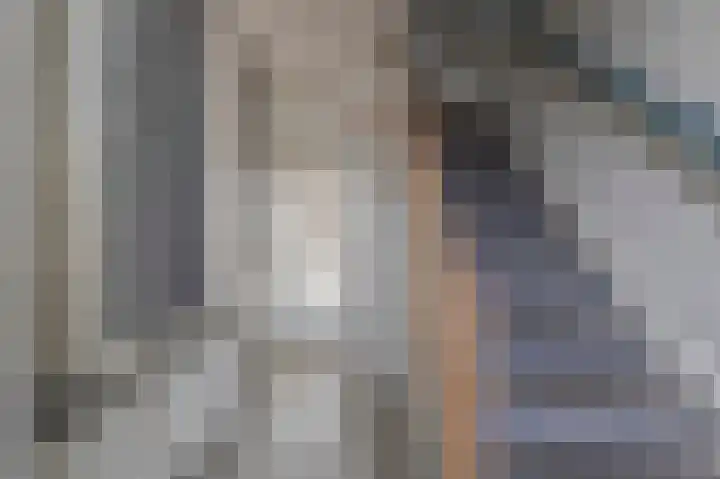 Mendelssohnlaan 1 Culemborg thumbnail 19